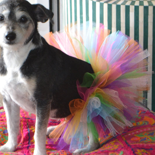 Couture Multi Color Tutu for Parades or just Fun